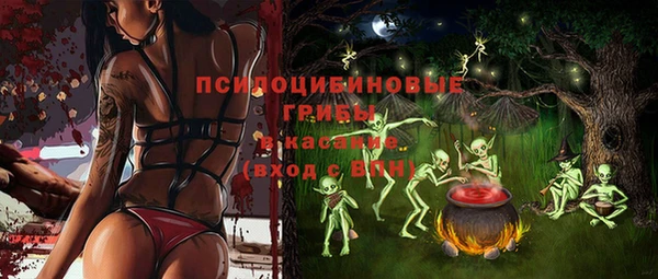 мдпв Арсеньев