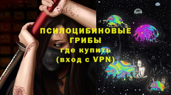 ПСИЛОЦИБИНОВЫЕ ГРИБЫ Армянск
