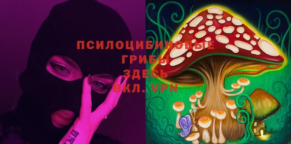 дживик Аркадак