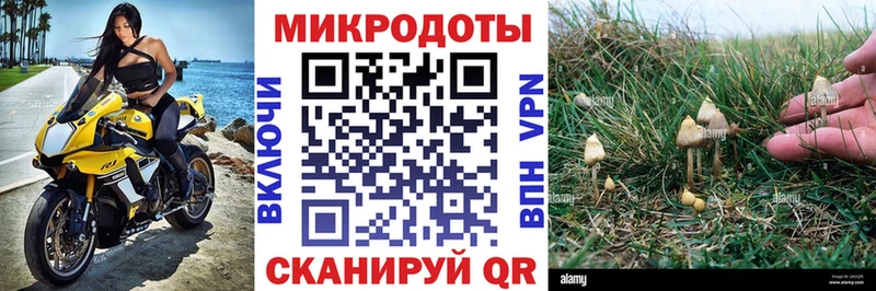 Псилоцибиновые грибы GOLDEN TEACHER Купить закладки Нижние Серги